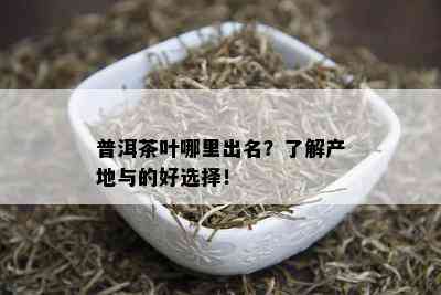 普洱茶叶哪里出名？了解产地与的好选择！