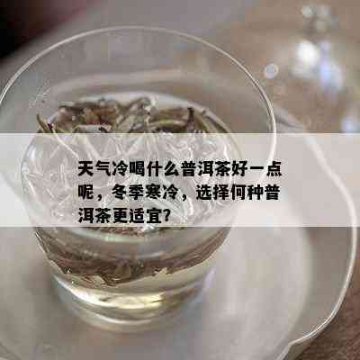 天气冷喝什么普洱茶好一点呢，冬季寒冷，选择何种普洱茶更适宜？