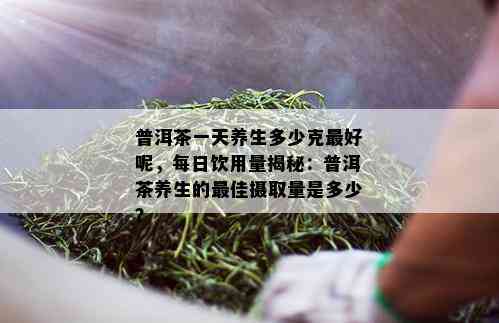 普洱茶一天养生多少克更好呢，每日饮用量揭秘：普洱茶养生的更佳摄取量是多少？