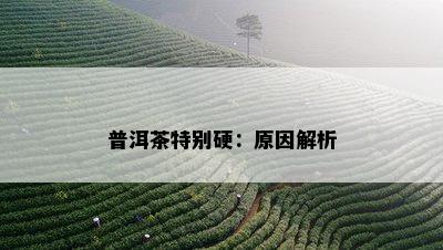 普洱茶特别硬：原因解析