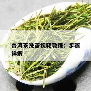 普洱茶洗茶视频教程：步骤详解