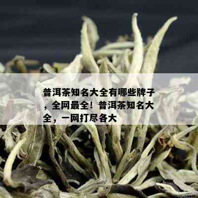 普洱茶知名大全有哪些牌子，全网最全！普洱茶知名大全，一网打尽各大