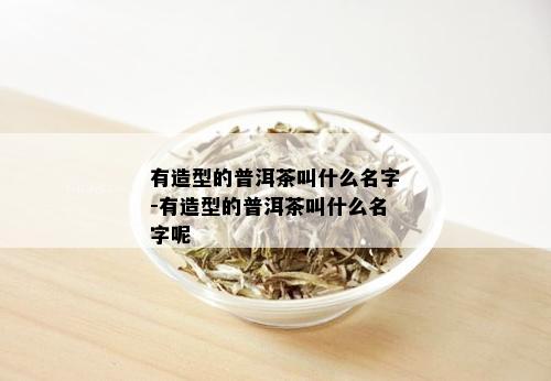 有造型的普洱茶叫什么名字-有造型的普洱茶叫什么名字呢