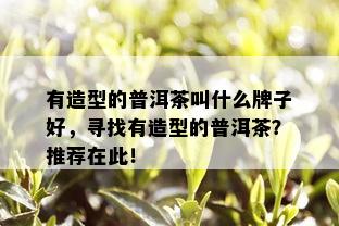 有造型的普洱茶叫什么牌子好，寻找有造型的普洱茶？推荐在此！