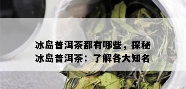 冰岛普洱茶都有哪些，探秘冰岛普洱茶：了解各大知名