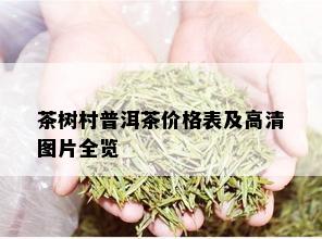 茶树村普洱茶价格表及高清图片全览