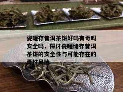 瓷罐存普洱茶饼好吗有吗安全吗，探讨瓷罐储存普洱茶饼的安全性与可能存在的性风险