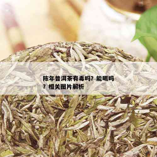 陈年普洱茶有吗？能喝吗？相关图片解析