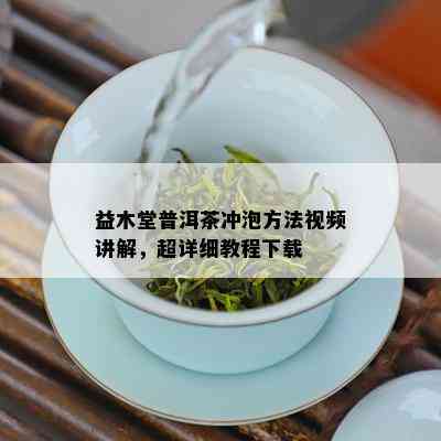 益木堂普洱茶冲泡方法视频讲解，超详细教程下载