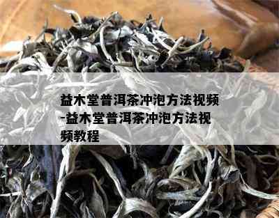 益木堂普洱茶冲泡方法视频-益木堂普洱茶冲泡方法视频教程