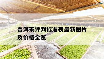 普洱茶评判标准表最新图片及价格全览