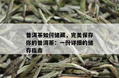 普洱茶如何储藏，完美保存你的普洱茶：一份详细的储存指南