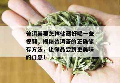 普洱茶要怎样储藏好喝一些视频，揭秘普洱茶的正确储存方法，让你品尝到更美味的口感！