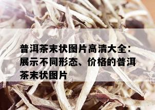 普洱茶末状图片高清大全：展示不同形态、价格的普洱茶末状图片