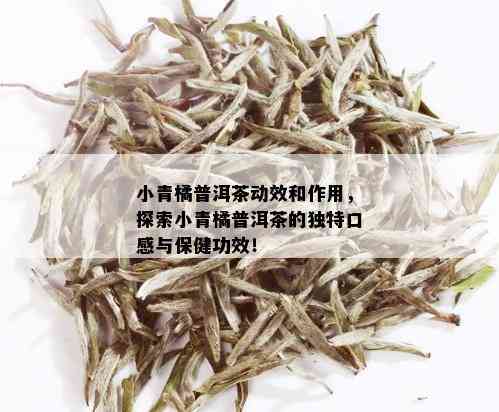 小青橘普洱茶动效和作用，探索小青橘普洱茶的独特口感与保健功效！