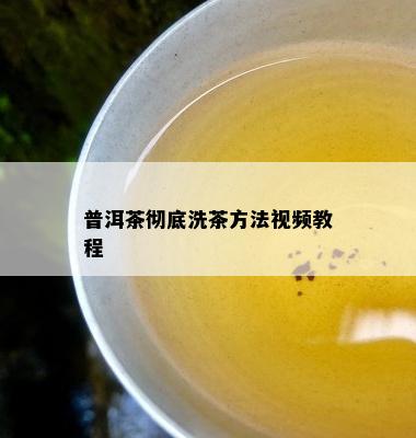 普洱茶彻底洗茶方法视频教程