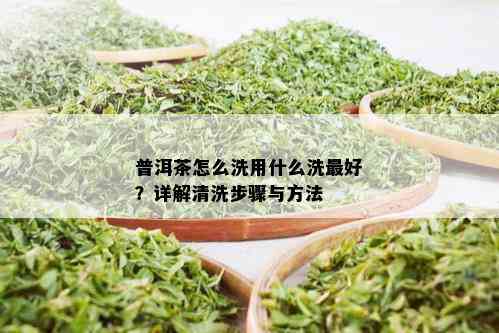 普洱茶怎么洗用什么洗更好？详解清洗步骤与方法