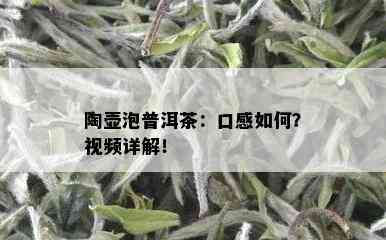 陶壶泡普洱茶：口感如何？视频详解！