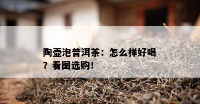 陶壶泡普洱茶：怎么样好喝？看图选购！