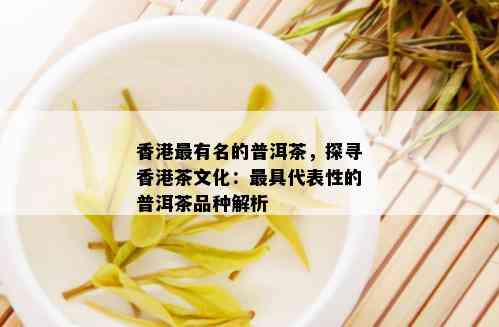 香港最有名的普洱茶，探寻香港茶文化：更具代表性的普洱茶品种解析