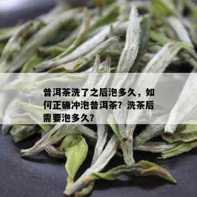 普洱茶洗了之后泡多久，如何正确冲泡普洱茶？洗茶后需要泡多久？