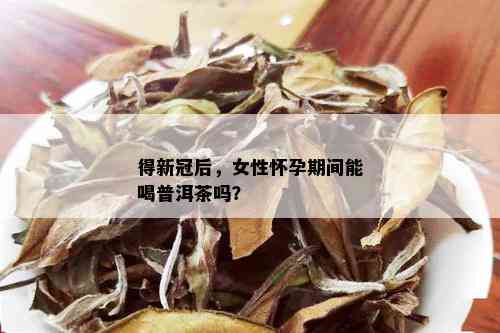 得新冠后，女性怀孕期间能喝普洱茶吗？