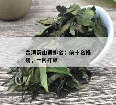 普洱茶山寨排名：前十名揭晓，一网打尽