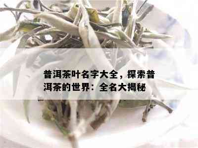 普洱茶叶名字大全，探索普洱茶的世界：全名大揭秘