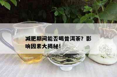 减肥期间能否喝普洱茶？影响因素大揭秘！