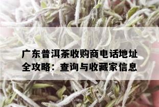 广东普洱茶收购商电话地址全攻略：查询与收藏家信息