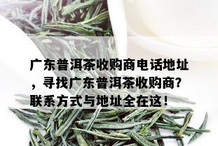 广东普洱茶收购商电话地址，寻找广东普洱茶收购商？联系方式与地址全在这！