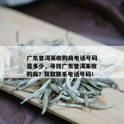 广东普洱茶收购商电话号码是多少，寻找广东普洱茶收购商？获取联系电话号码！