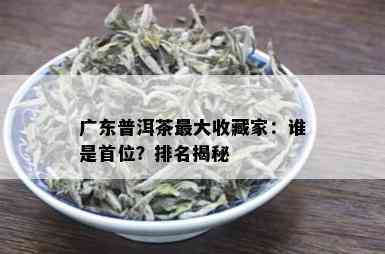 广东普洱茶更大收藏家：谁是首位？排名揭秘