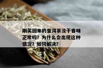 刚买回来的普洱茶没干香味正常吗？为什么会出现这种情况？如何解决？