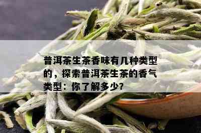 普洱茶生茶香味有几种类型的，探索普洱茶生茶的香气类型：你了解多少？