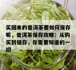 买回来的普洱茶要如何保存呢，普洱茶保存攻略：从购买到储存，你需要知道的一切