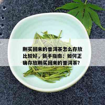 刚买回来的普洱茶怎么存放比较好，新手指南：如何正确存放刚买回来的普洱茶？