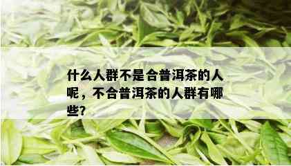 什么人群不是合普洱茶的人呢，不合普洱茶的人群有哪些？