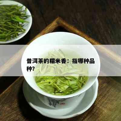 普洱茶的糯米香：指哪种品种？