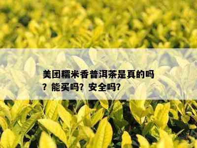 美团糯米香普洱茶是真的吗？能买吗？安全吗？