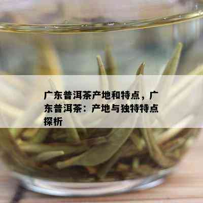 广东普洱茶产地和特点，广东普洱茶：产地与独特特点探析