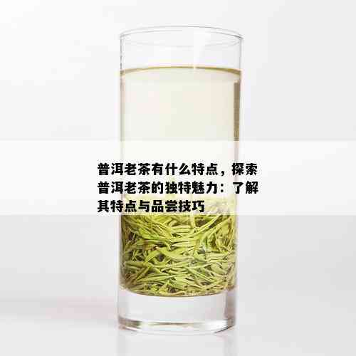 普洱老茶有什么特点，探索普洱老茶的独特魅力：了解其特点与品尝技巧