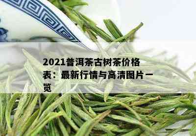 2021普洱茶古树茶价格表：最新行情与高清图片一览