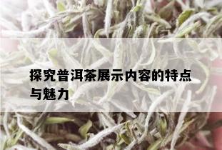 探究普洱茶展示内容的特点与魅力