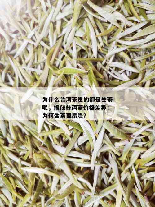 为什么普洱茶贵的都是生茶呢，揭秘普洱茶价格差异：为何生茶更昂贵？