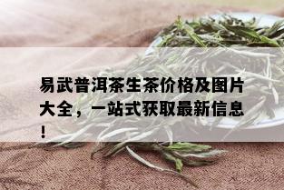 易武普洱茶生茶价格及图片大全，一站式获取最新信息！