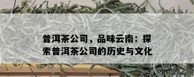 普洱茶公司，品味云南：探索普洱茶公司的历史与文化