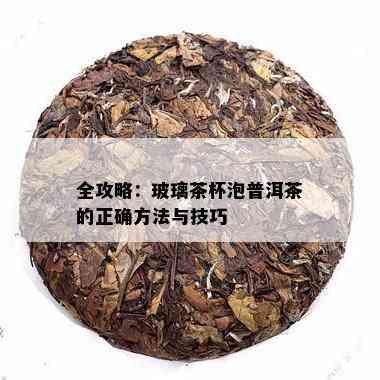 全攻略：玻璃茶杯泡普洱茶的正确方法与技巧