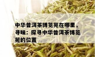 中华普洱茶博览苑在哪里，寻味：探寻中华普洱茶博览苑的位置