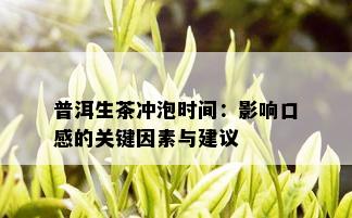 普洱生茶冲泡时间：影响口感的关键因素与建议